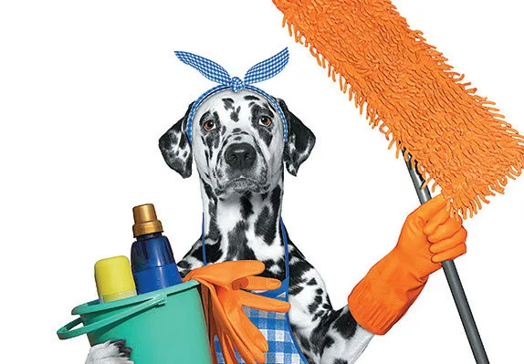 Održavanje higijene