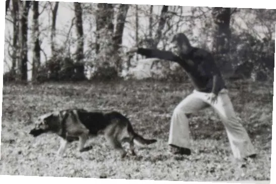 Kako je osnovan KOSSP ?