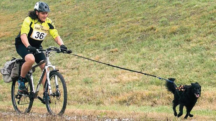 Kondicija spasilačkog psa