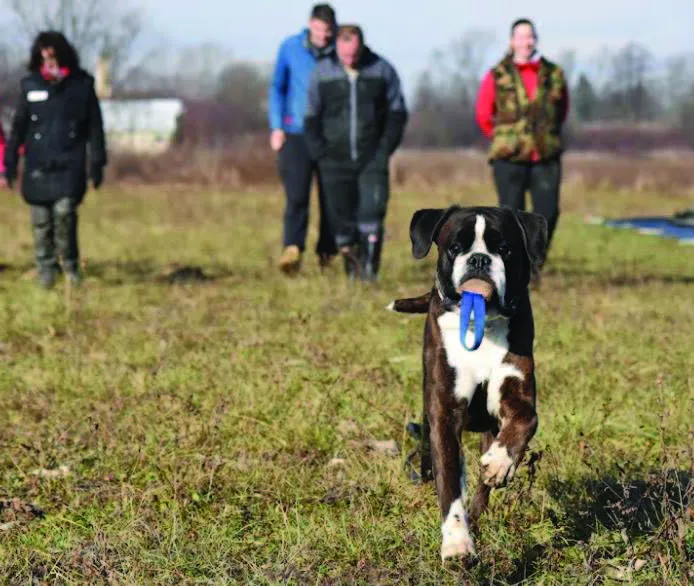 Problemi u ponašanju