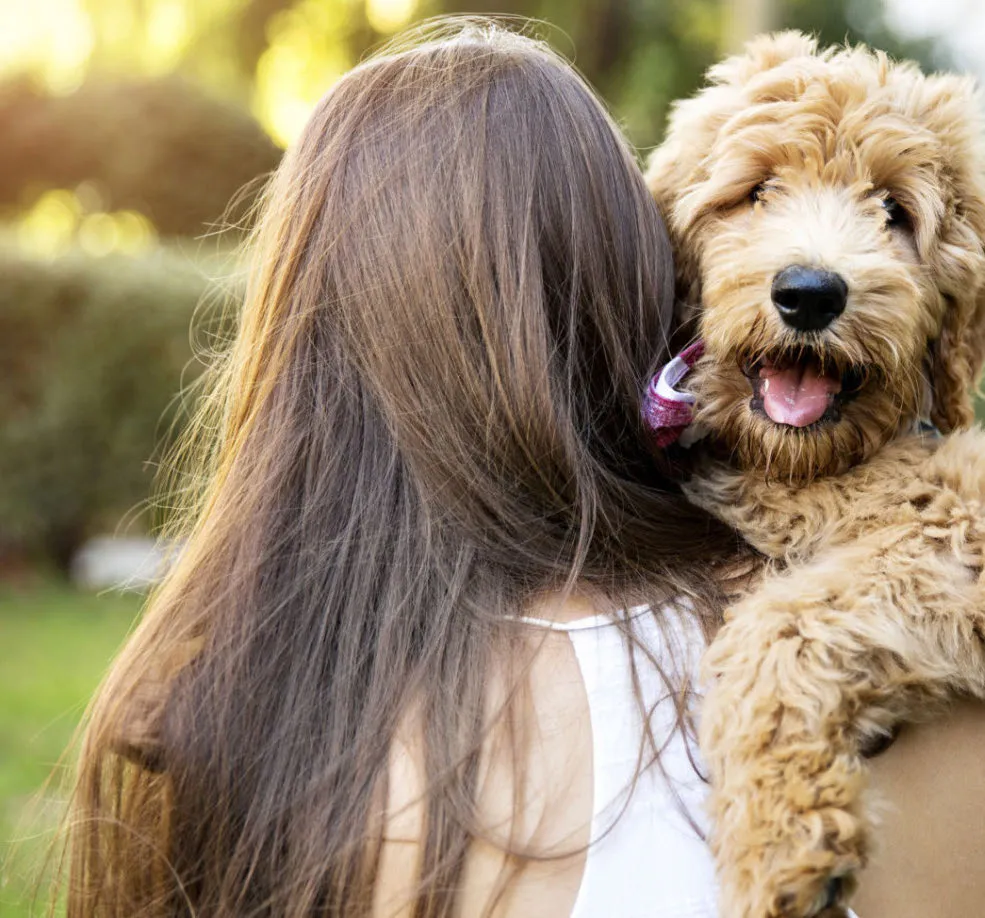 Zdravstveni pregled psa koji možete obaviti sami