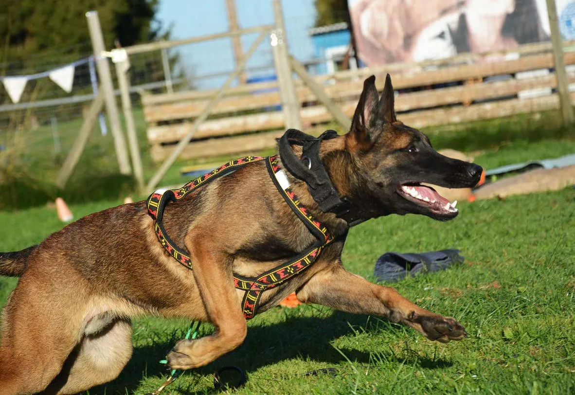 MONDIORING - čuvanje predmeta