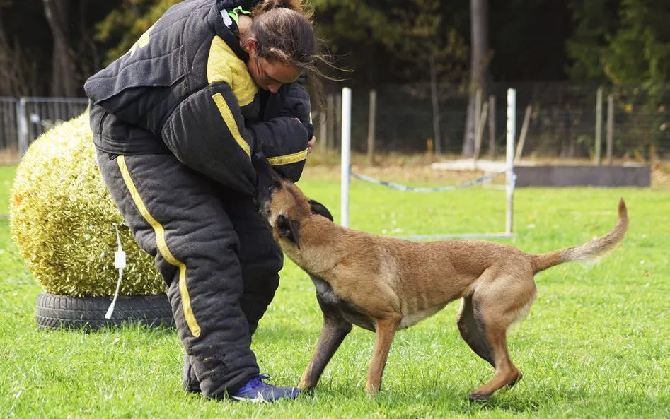 MONDIORING - osnovna pravila natjecanja
