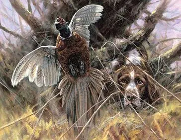 Lovna radna kinologija