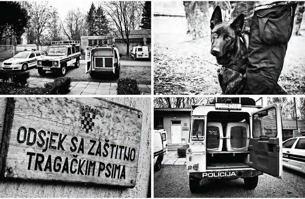 MANTRAILING: Obuka službenih pasa za praćenje osoba