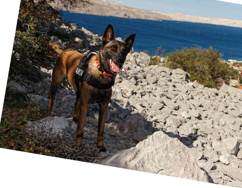 PSI ZA DETEKCIJU LJUDSKIH OSTATAKA