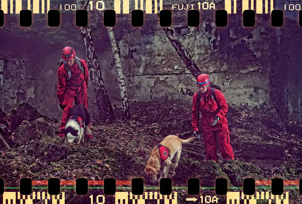 Pseći njuh – najjače spasilačko oruđe