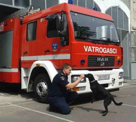 Spasilačka obuka kroz pseće oči