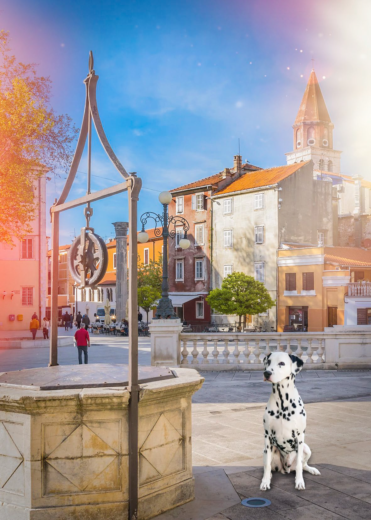 Dalmatia Shows 2025.